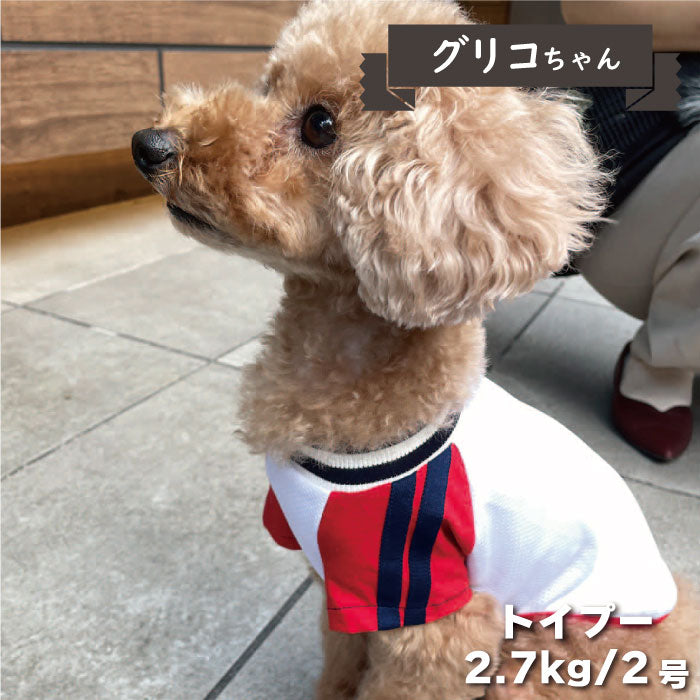 4色展開<br>COOLジャージ風Tシャツ 小型犬・胴長・ダックス - VERY-PET