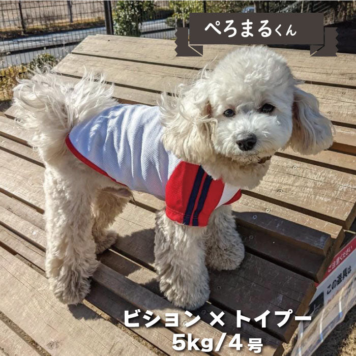 4色展開<br>COOLジャージ風Tシャツ 小型犬・胴長・ダックス - VERY-PET