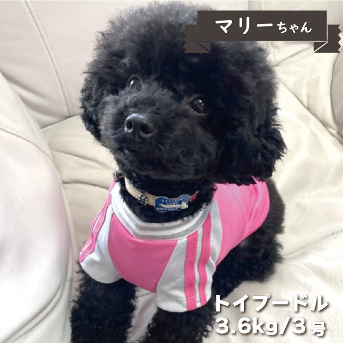 4色展開<br>COOLジャージ風Tシャツ 小型犬・胴長・ダックス - VERY-PET