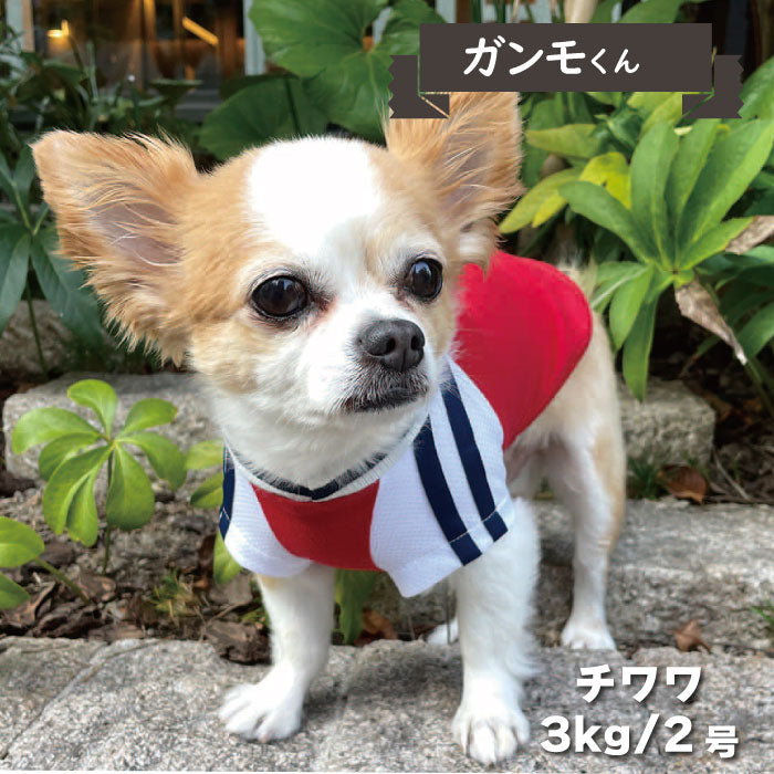 4色展開<br>COOLジャージ風Tシャツ 小型犬・胴長・ダックス - VERY-PET