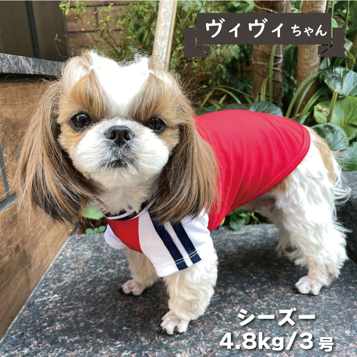 4色展開<br>COOLジャージ風Tシャツ 小型犬・胴長・ダックス - VERY-PET