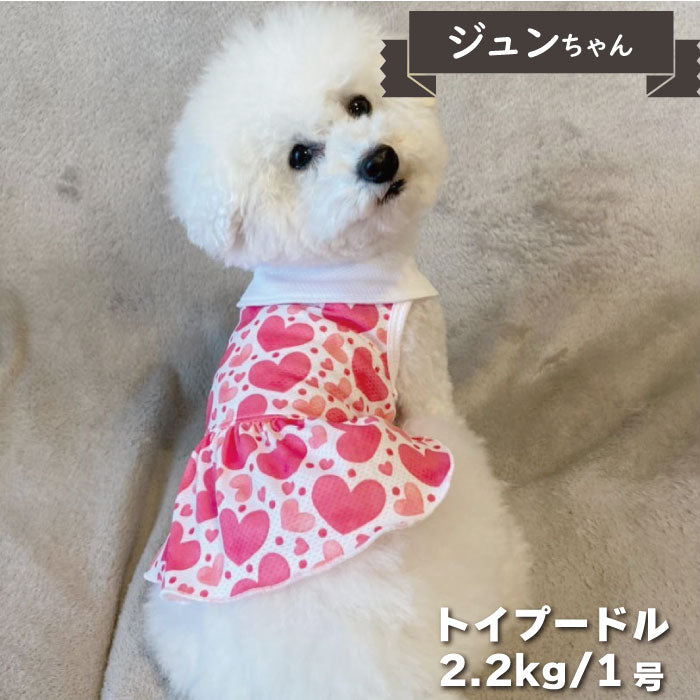 2デザイン<br>COOLデザインタンクトップ 小型犬・胴長・ダックス - VERY-PET