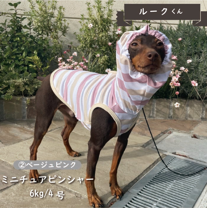 <font color="red">【先行予約】</font><br>フード付き クールボーダータンク 小型犬・胴長・ダックス【接触冷感&濡らして冷たい】 - VERY-PET