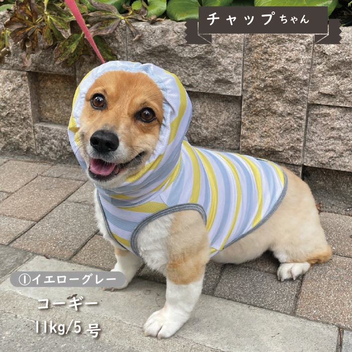 <font color="red">【先行予約】</font><br>フード付き クールボーダータンク 小型犬・胴長・ダックス【接触冷感&濡らして冷たい】 - VERY-PET