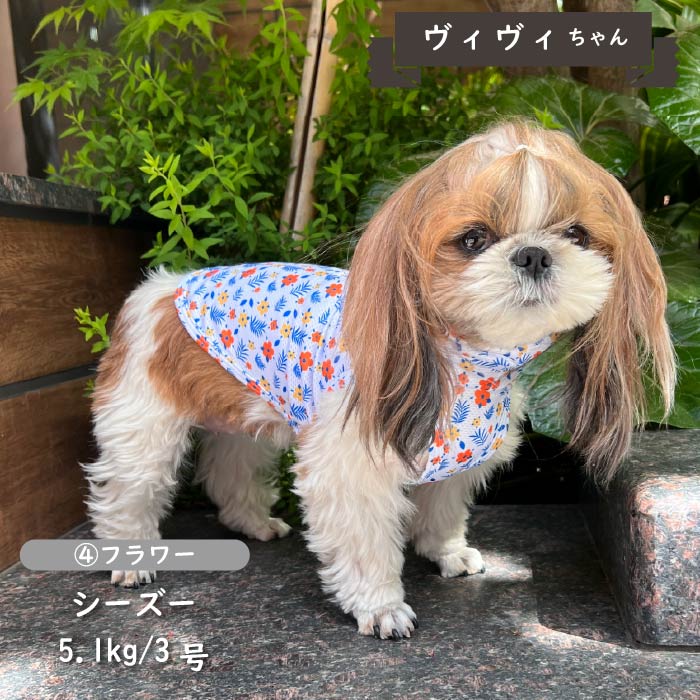 <font color="red">【先行予約】</font><br>フード付き クールプリントタンク 小型犬・胴長・ダックス【接触冷感&濡らして冷たい】 - VERY-PET