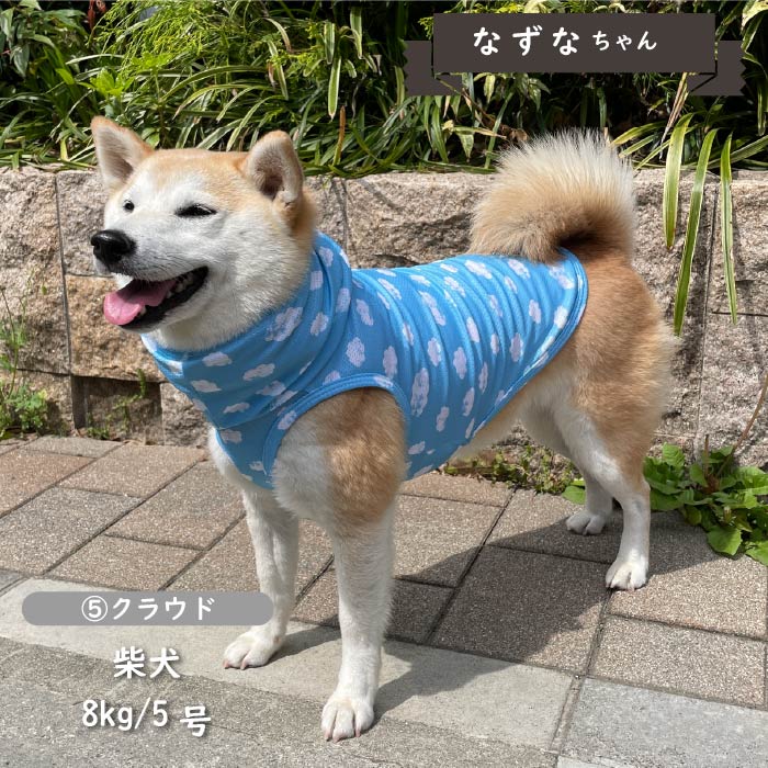 <font color="red">【先行予約】</font><br>フード付き クールプリントタンク 小型犬・胴長・ダックス【接触冷感&濡らして冷たい】 - VERY-PET