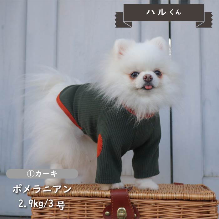 ストレッチ肘あて付きロングTシャツ 小型犬・胴長 - VERY-PET