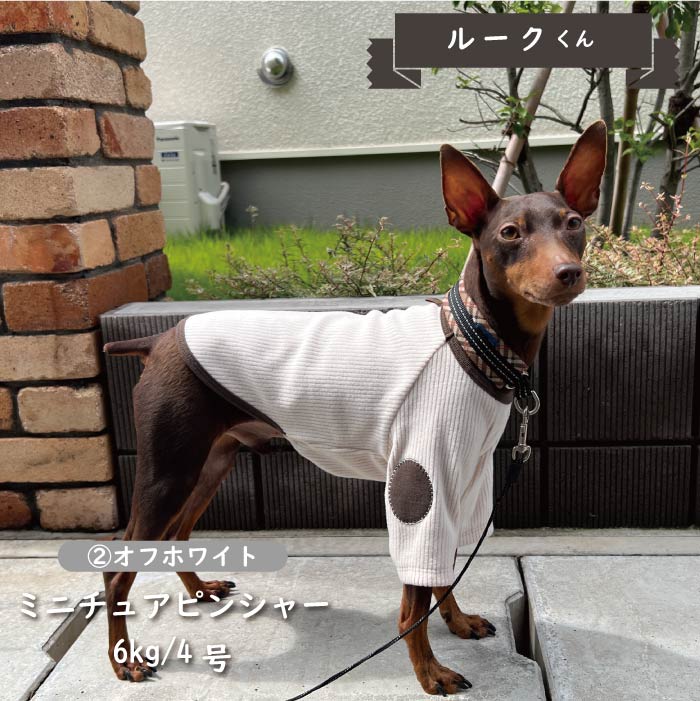 ストレッチ肘あて付きロングTシャツ 小型犬・胴長 - VERY-PET