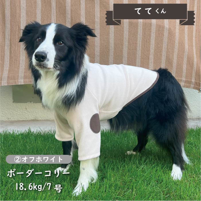 ※在庫のない商品は9月上旬入荷予定※<br>ストレッチ肘あて付きロングTシャツ 中型犬 - VERY-PET