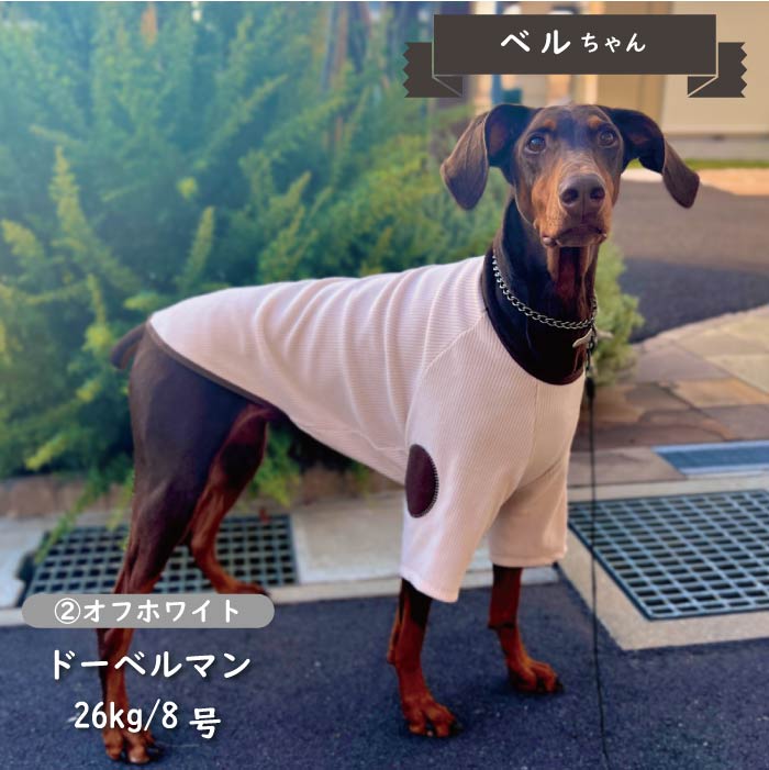 ※在庫のない商品は9月中旬入荷予定※<br>ストレッチ肘あて付きロングTシャツ 大型犬 - VERY-PET