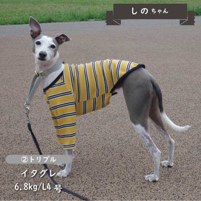 ストレッチボーダーロングTシャツ 小型犬・胴長 - VERY-PET