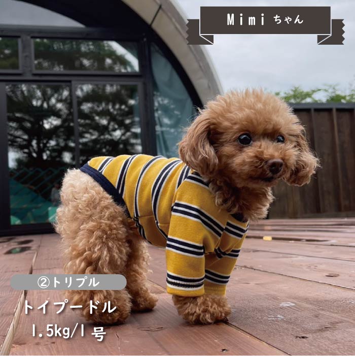 ストレッチボーダーロングTシャツ 小型犬・胴長 - VERY-PET