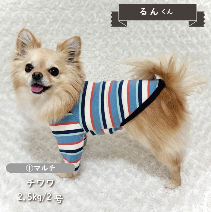 ストレッチボーダーロングTシャツ 小型犬・胴長 - VERY-PET