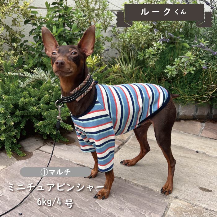 ストレッチボーダーロングTシャツ 小型犬・胴長 - VERY-PET