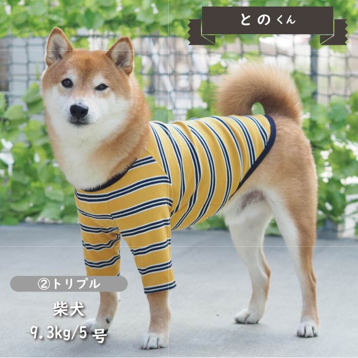 ストレッチボーダーロングTシャツ 小型犬・胴長 - VERY-PET