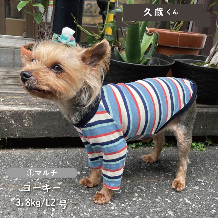 ストレッチボーダーロングTシャツ 小型犬・胴長 - VERY-PET