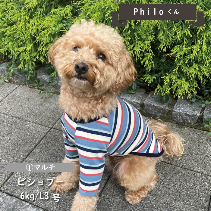 ストレッチボーダーロングTシャツ 小型犬・胴長 - VERY-PET