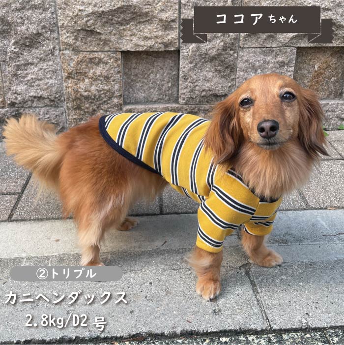 ストレッチボーダーロングTシャツ ダックス - VERY-PET