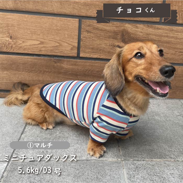 ストレッチボーダーロングTシャツ ダックス - VERY-PET