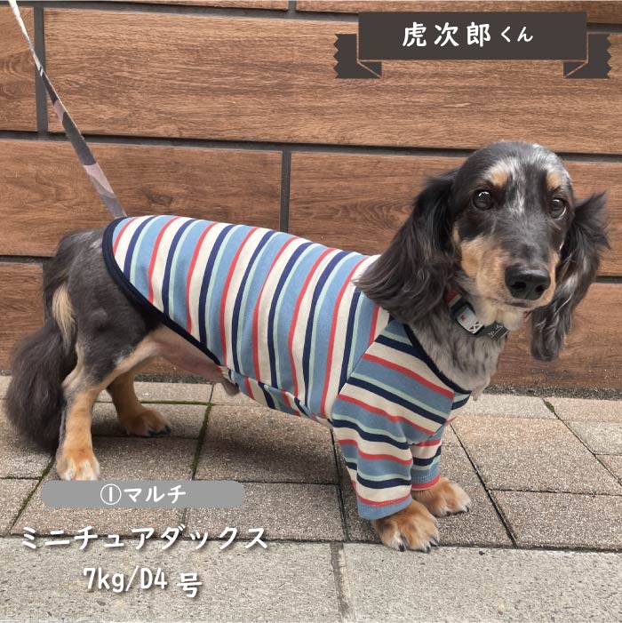 ストレッチボーダーロングTシャツ ダックス - VERY-PET