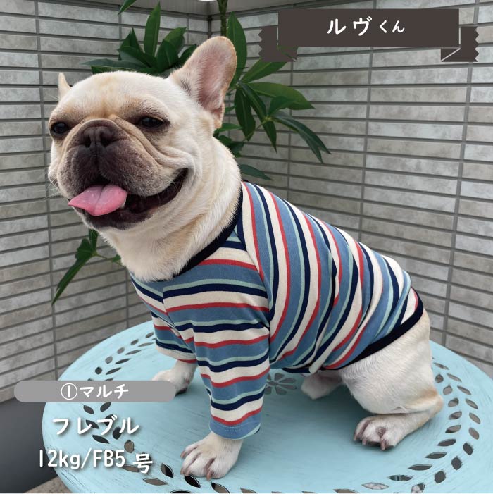 ストレッチボーダーロングTシャツ フレブル・パグ - VERY-PET