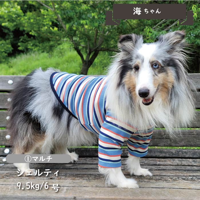 ストレッチボーダーロングTシャツ 中型犬 - VERY-PET