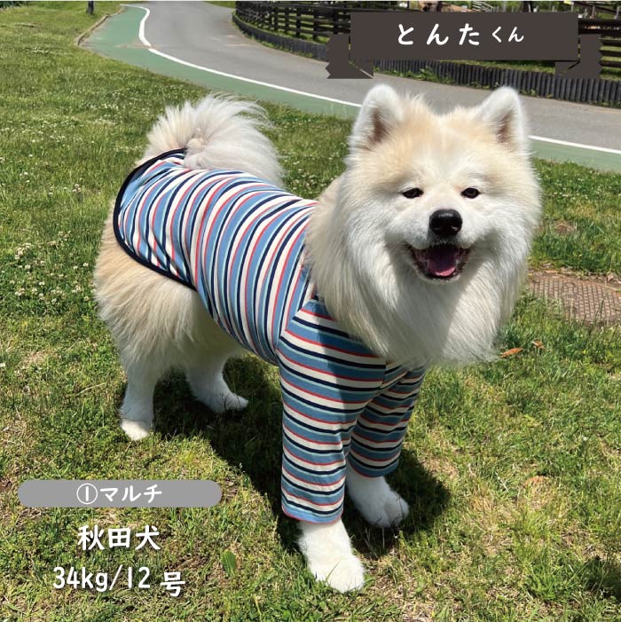 ストレッチボーダーロングTシャツ 大型犬 - VERY-PET