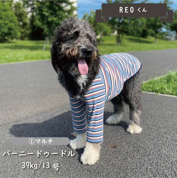 ※在庫のない商品は9月中旬入荷予定※<br>ストレッチボーダーロングTシャツ 超大型犬 - VERY-PET