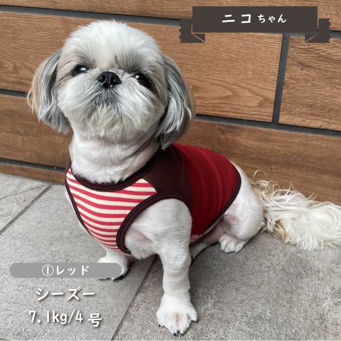 裏ボア切替タンクトップ 小型犬・胴長・ダックス - VERY-PET