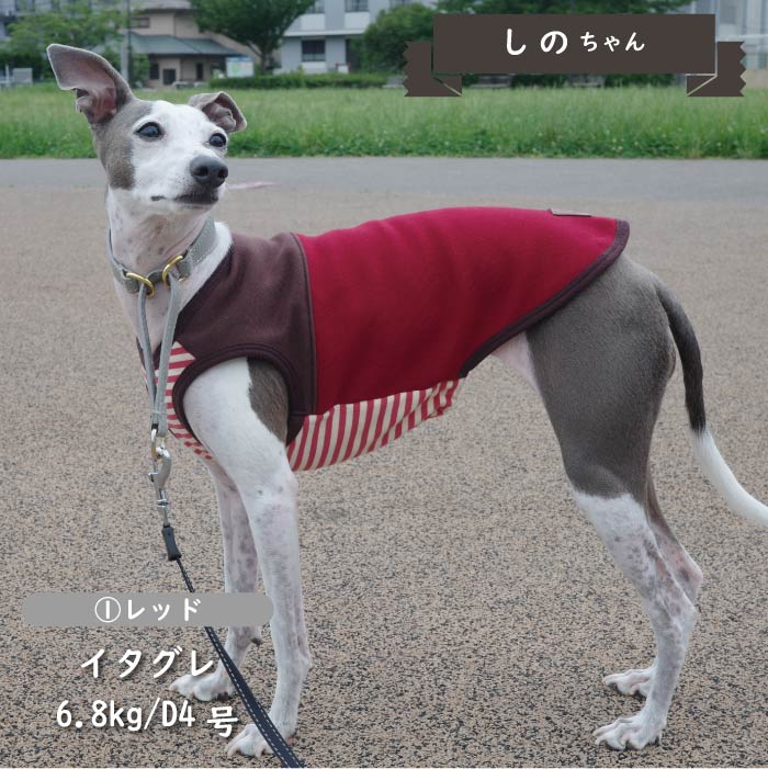 裏ボア切替タンクトップ 小型犬・胴長・ダックス - VERY-PET