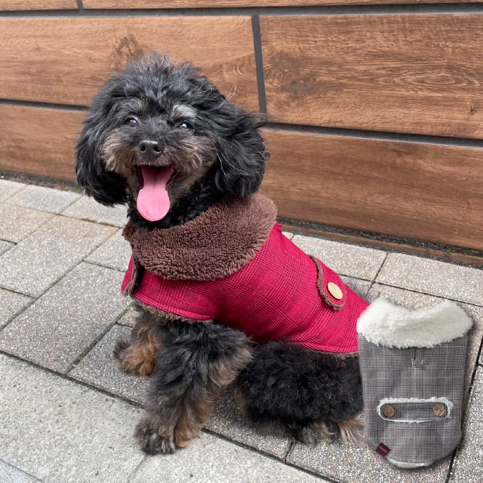 グレンチェックコート 小型犬・胴長・ダックス - VERY-PET