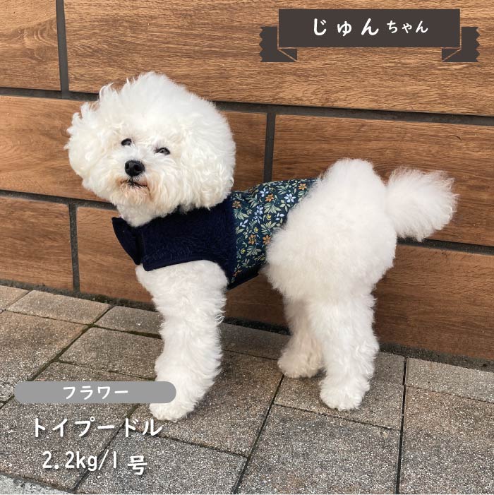 裏ボアキルトコート 小型犬・胴長・ダックス - VERY-PET