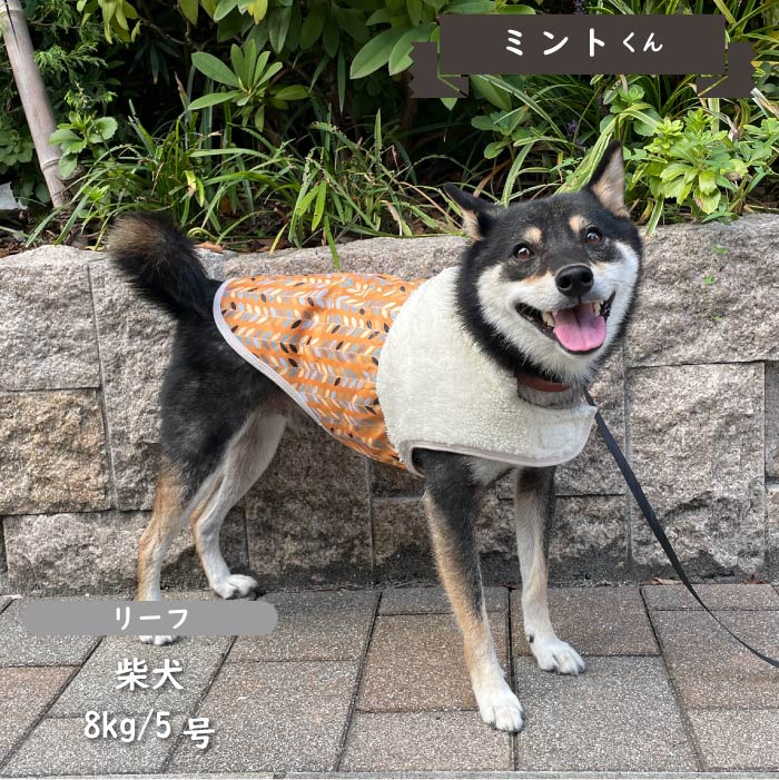 裏ボアキルトコート 小型犬・胴長・ダックス - VERY-PET