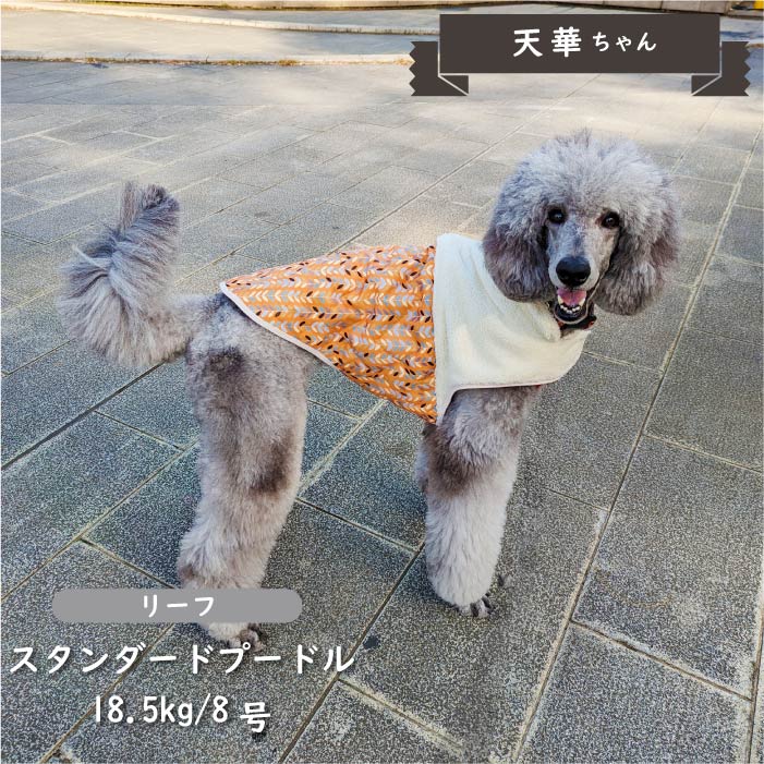 裏ボアキルトコート 大型犬 - VERY-PET