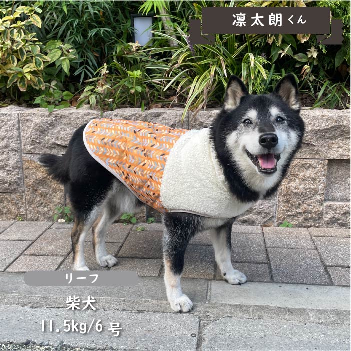 裏ボアキルトコート 中型犬 - VERY-PET