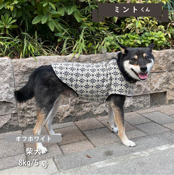 ニットボアコート 小型犬・胴長・ダックス - VERY-PET