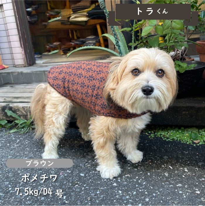 ニットボアコート 小型犬・胴長・ダックス - VERY-PET