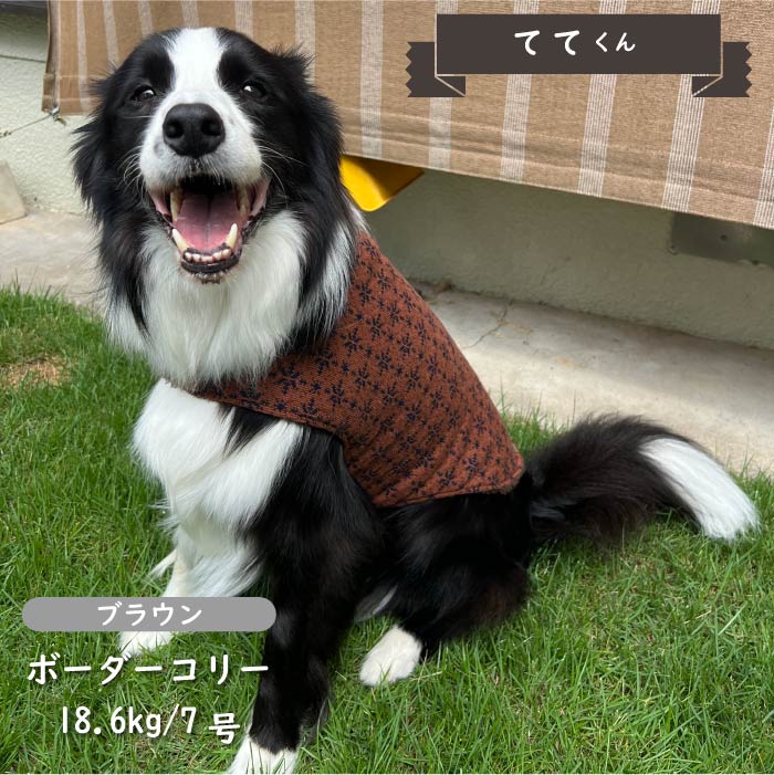 ニットボアコート 中型犬 - VERY-PET