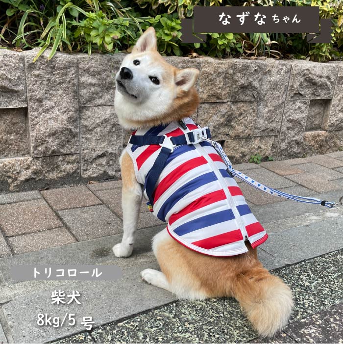 ハーネス付防水タンクトップ 小型犬・胴長・ダックス - VERY-PET