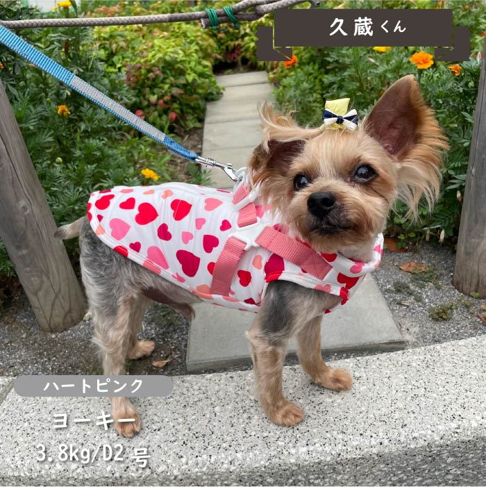 ハーネス付防水タンクトップ 小型犬・胴長・ダックス - VERY-PET