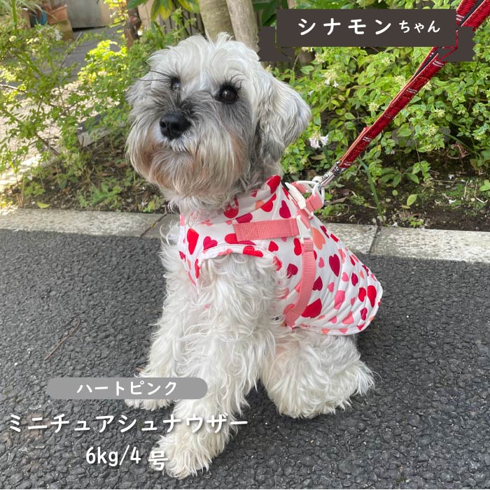 ハーネス付防水タンクトップ 小型犬・胴長・ダックス - VERY-PET