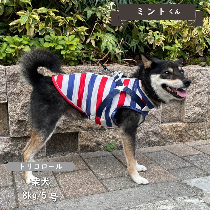 ハーネス付防水タンクトップ 小型犬・胴長・ダックス - VERY-PET