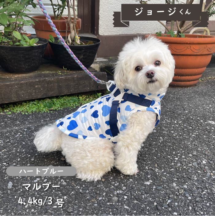 ハーネス付防水タンクトップ 小型犬・胴長・ダックス - VERY-PET