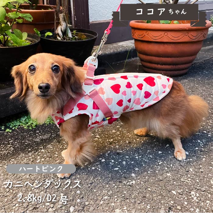 ハーネス付防水タンクトップ 小型犬・胴長・ダックス - VERY-PET