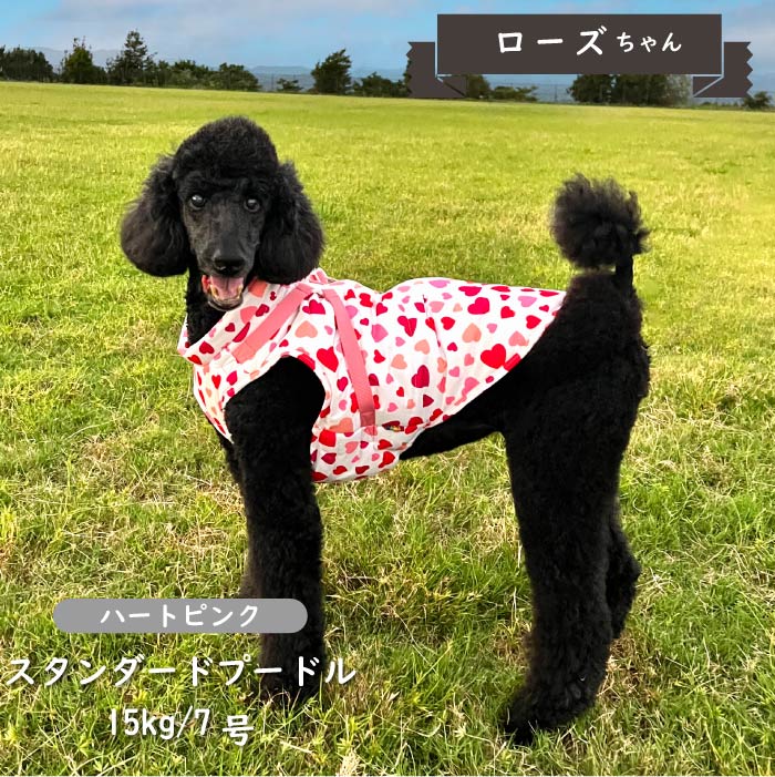 ハーネス付防水タンクトップ 中型犬 - VERY-PET