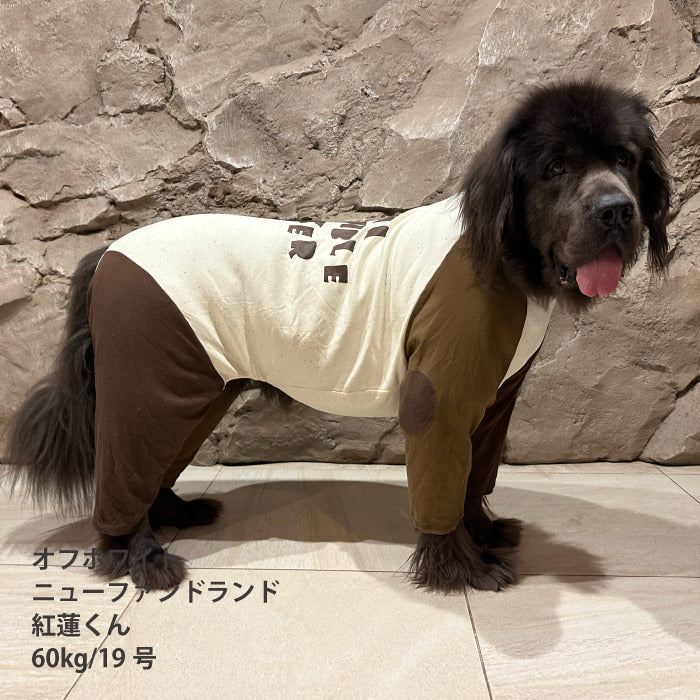 【スタイプレゼント対象商品】小型～超大型 ダックス 胴長 [全33size展開]<br>バックプリントロンパース
