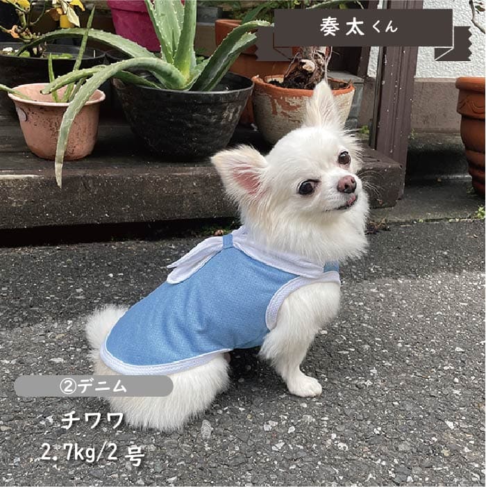 接触冷感&濡らして冷たい<br>デザインクールウェア 小型犬・胴長・ダックス - VERY-PET