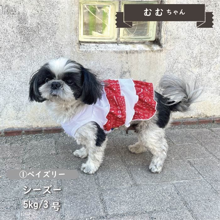 接触冷感&濡らして冷たい<br>デザインクールウェア 小型犬・胴長・ダックス - VERY-PET