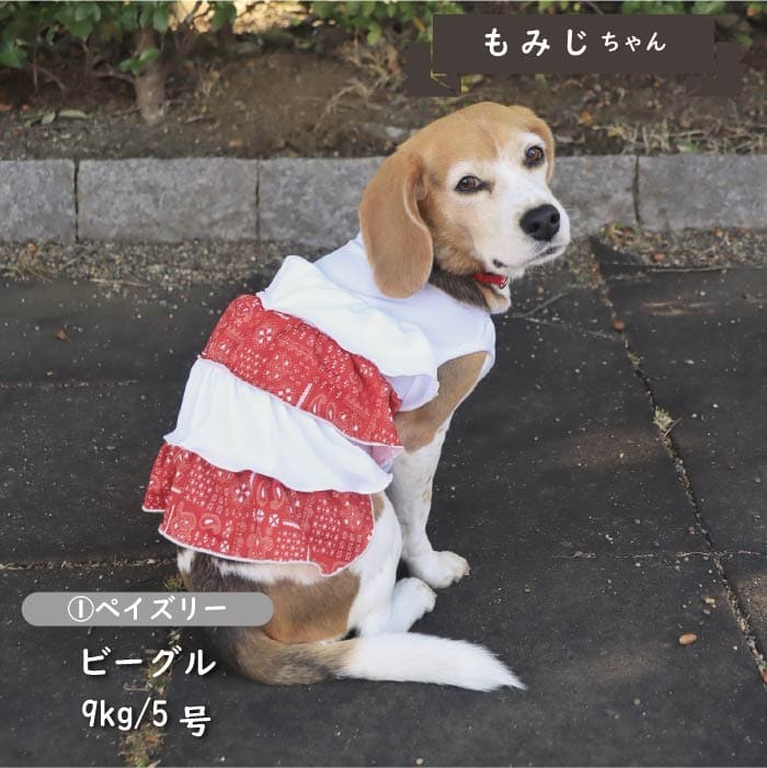 接触冷感&amp;濡らして冷たい<br>デザインクールウェア 小型犬・胴長・ダックス - VERY-PET