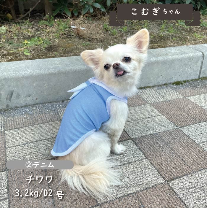 接触冷感&濡らして冷たい<br>デザインクールウェア 小型犬・胴長・ダックス - VERY-PET